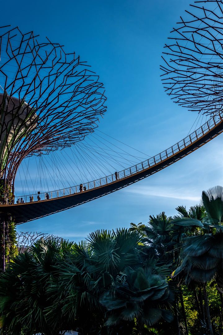 Gardens by the Bay