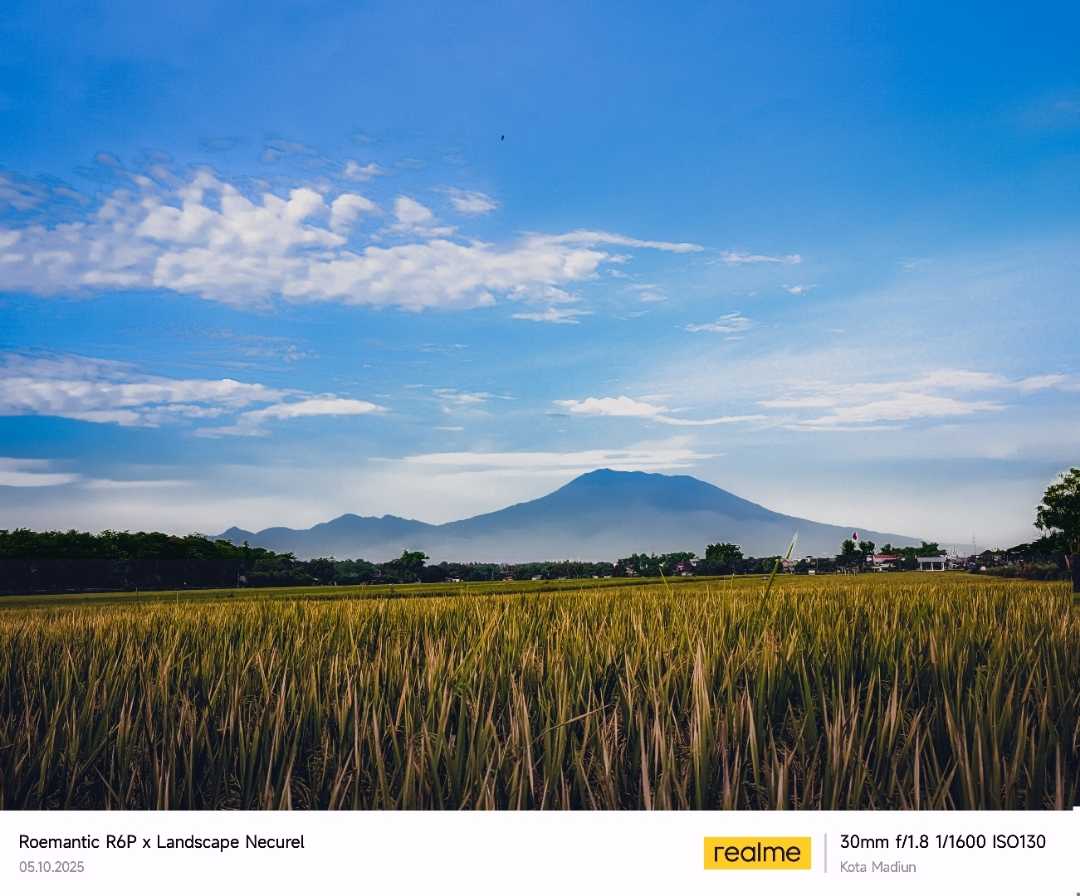 Sawah dan Gunung