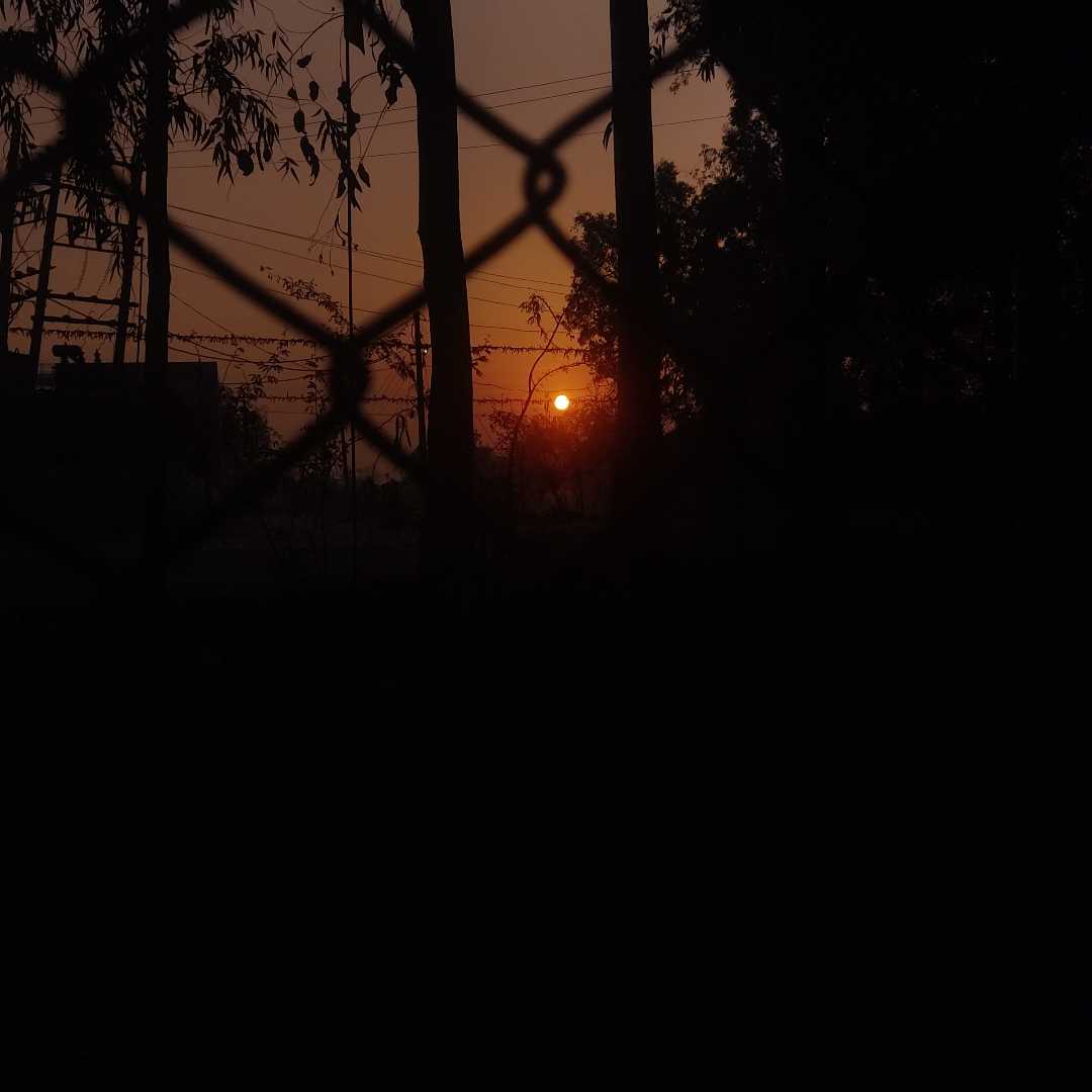 sunrise