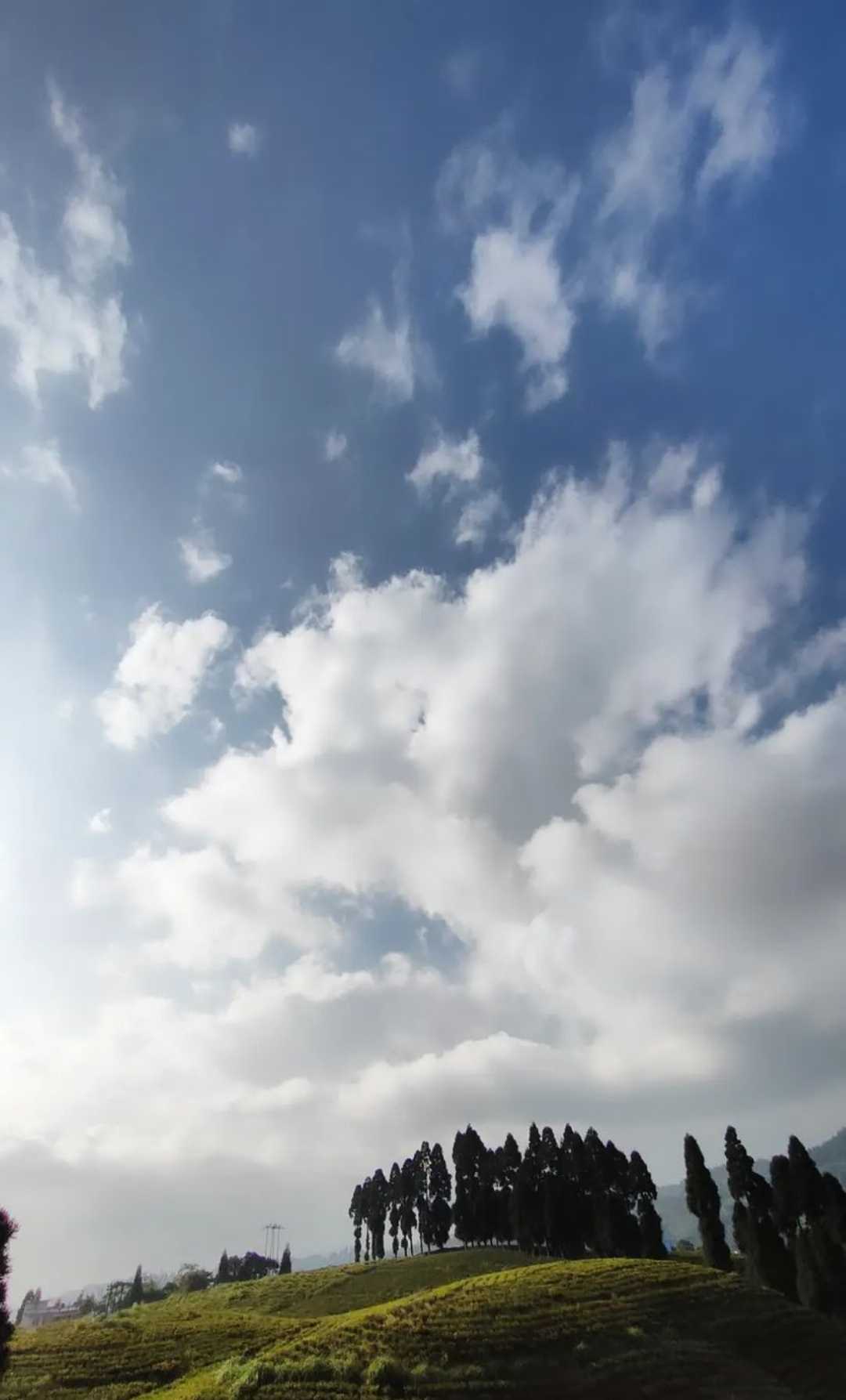 Serene Landscapes
