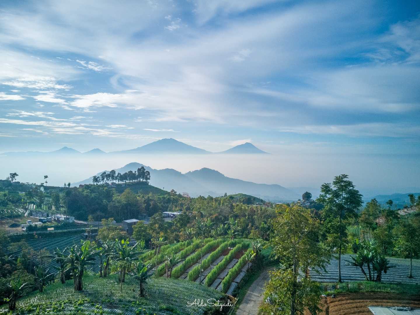 gunung-gunung yang berjajar rapi