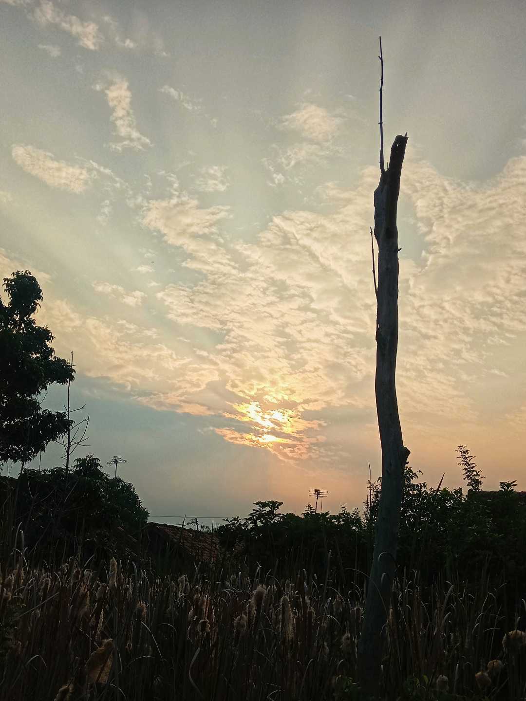 Matahari terbit