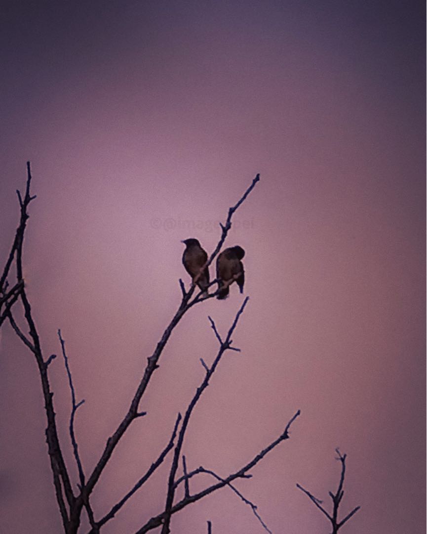 Together? Hmm, in their own world!!
