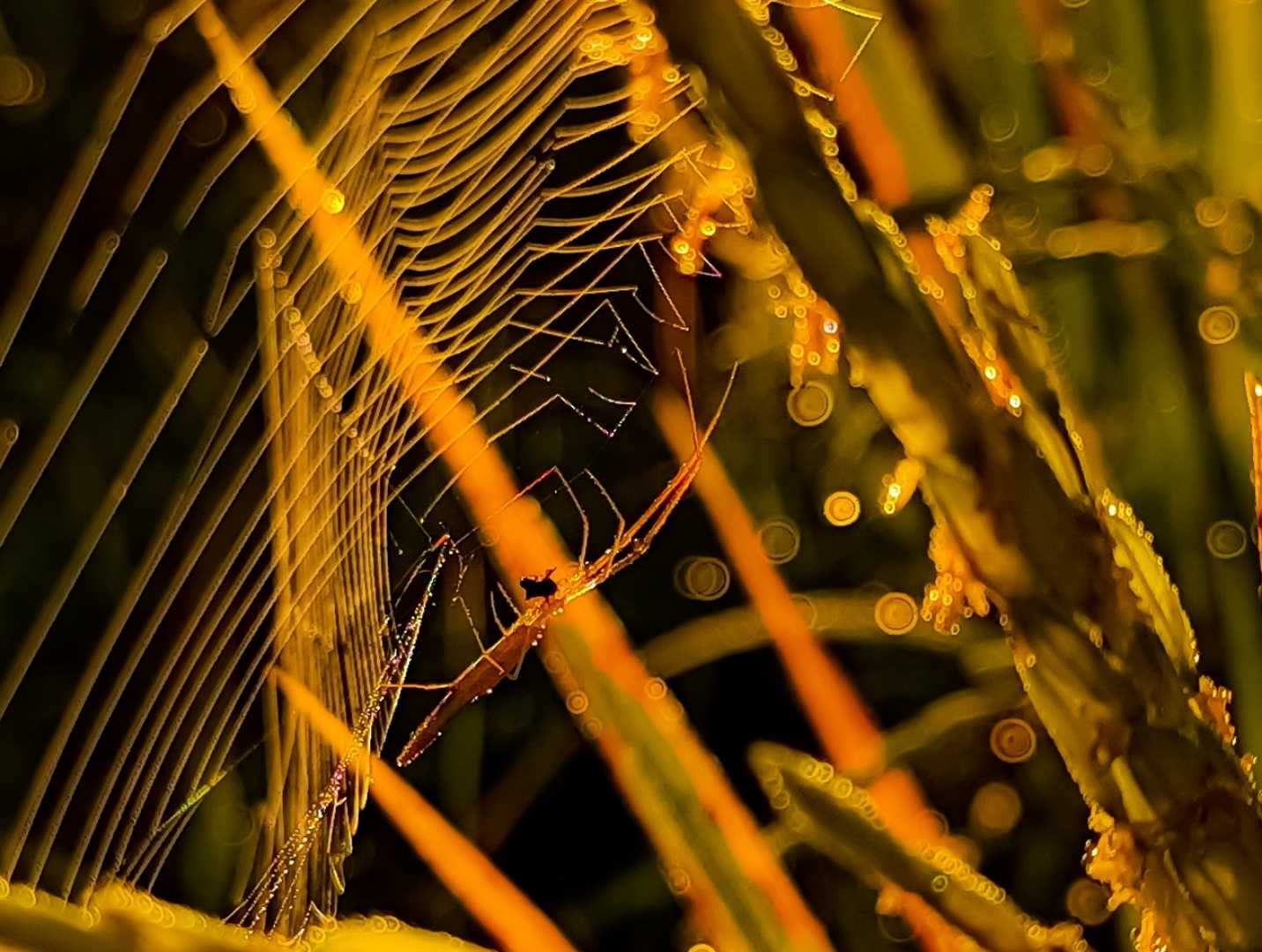 Under the warm colors of sunlight 