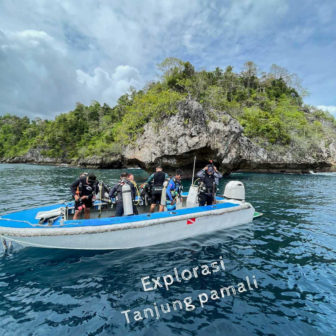 Explorasi Dive Tanjung pamali
