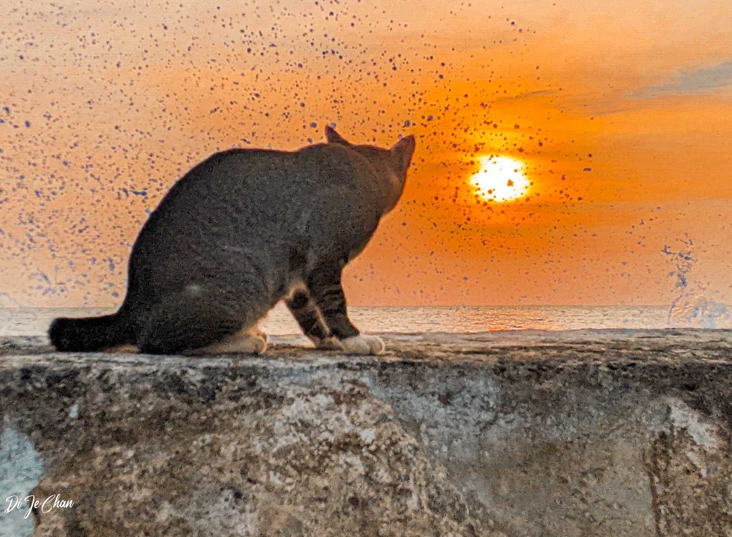 Kucing Penjaga Taman Muaro Lasak