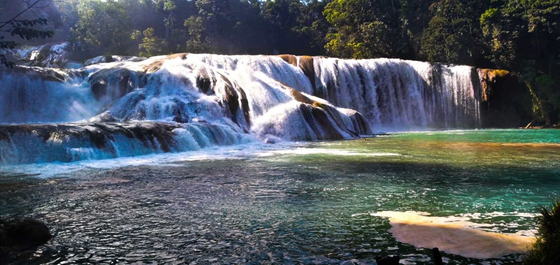 🏊‍♀️🏊‍♀️🏊‍♀️🏊‍♀️🌼👣👣
