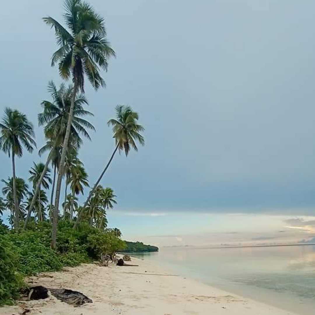 Pesisir