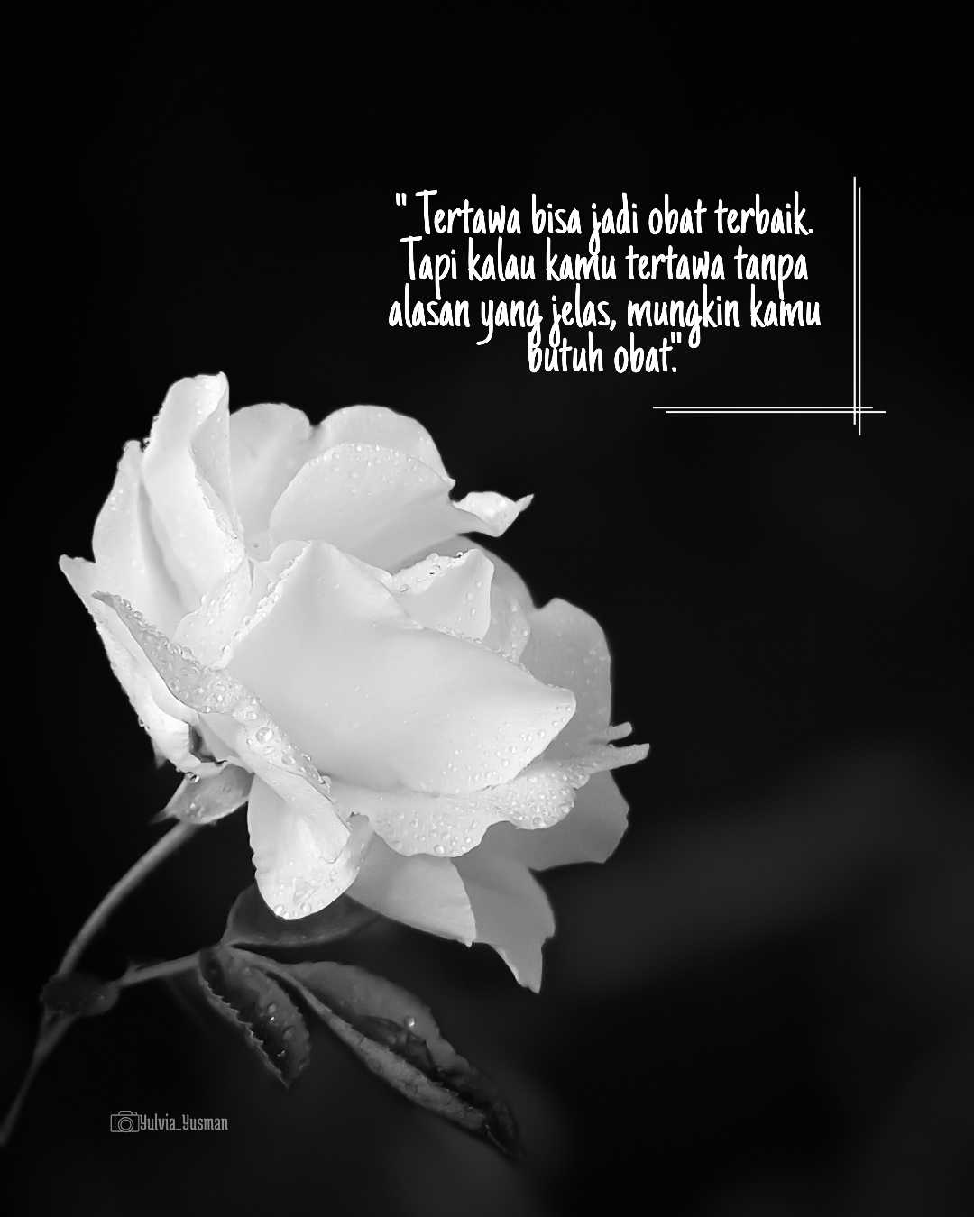 Tipografi