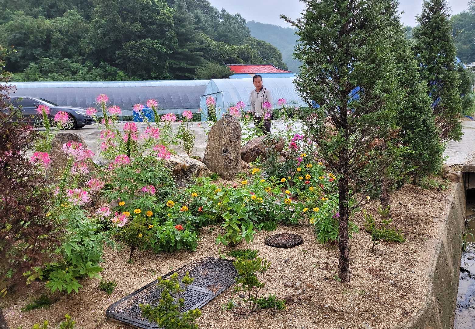 엄마집