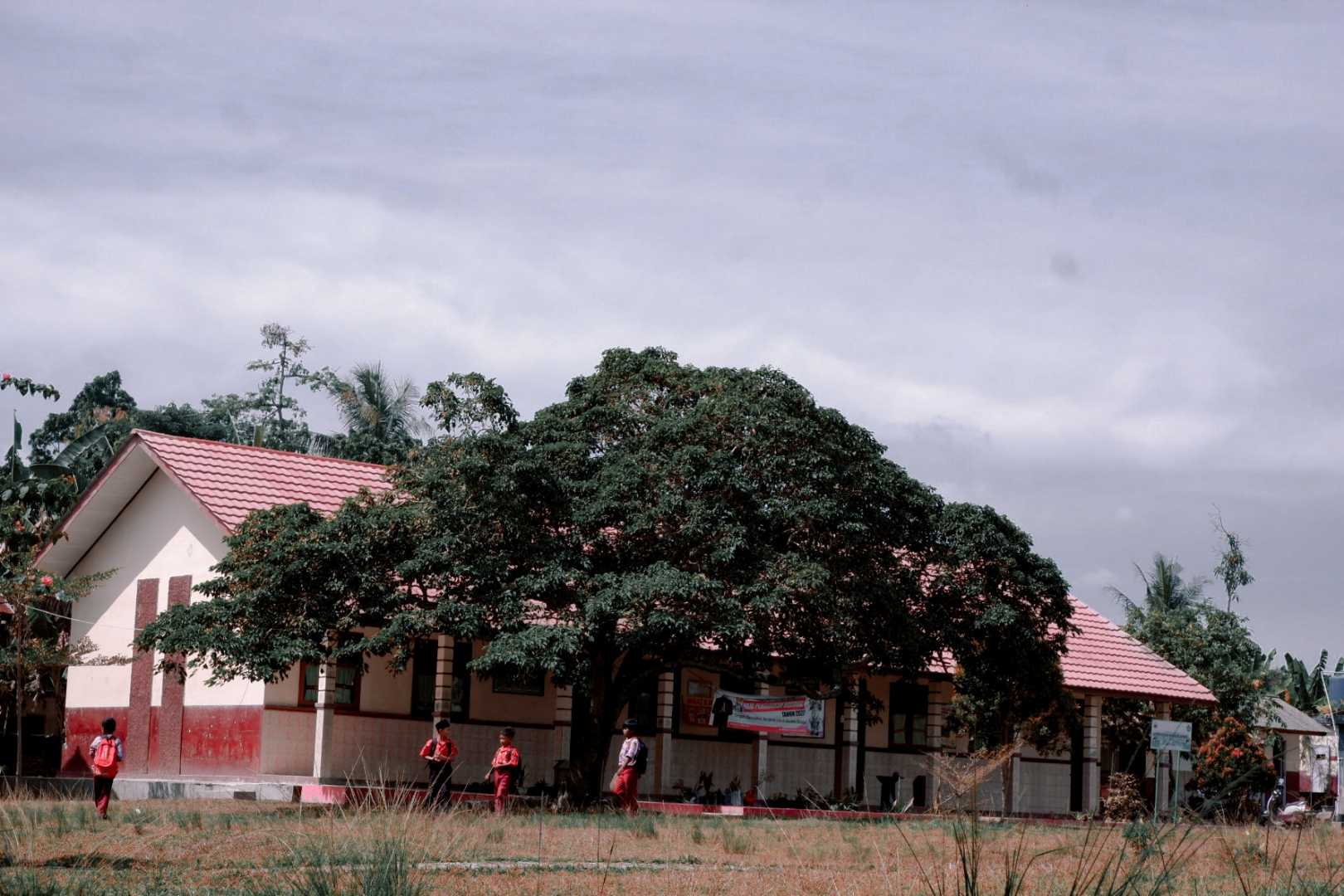 sekolah dasar 