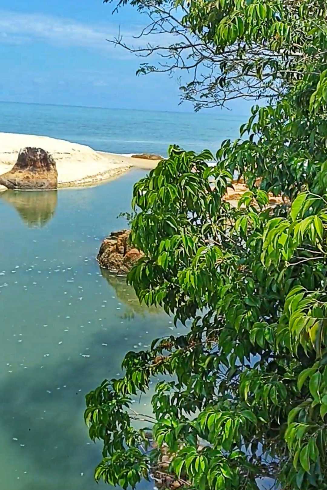 Angin Laut
