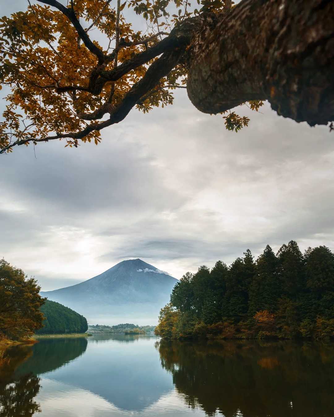 lake tanuki