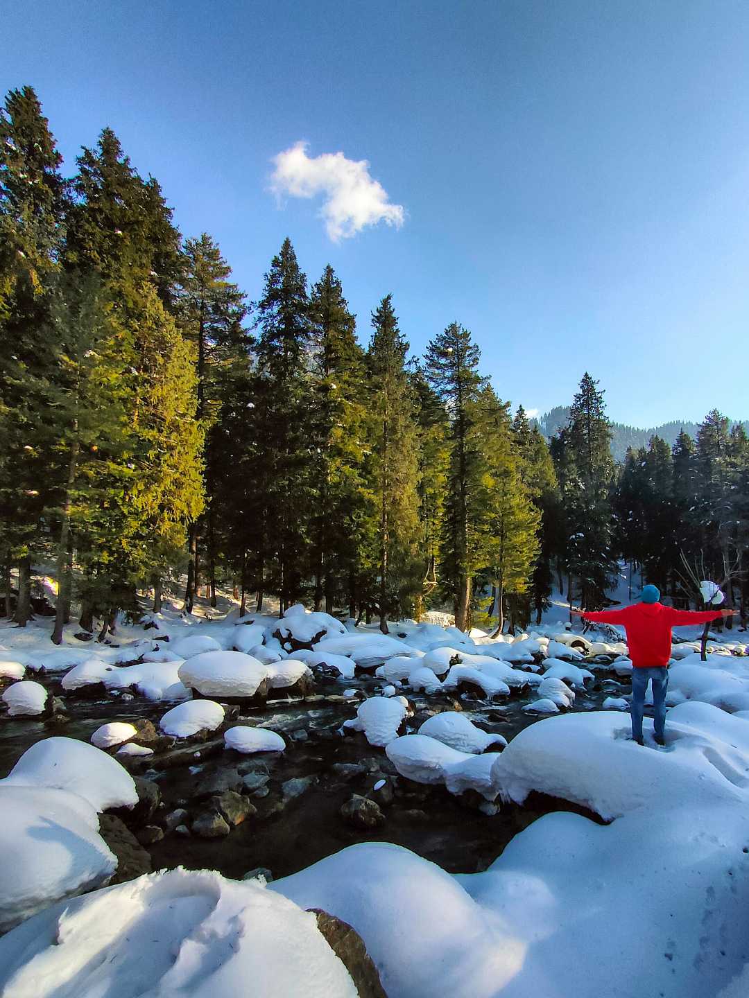 Betaab Valley Pahalgam 