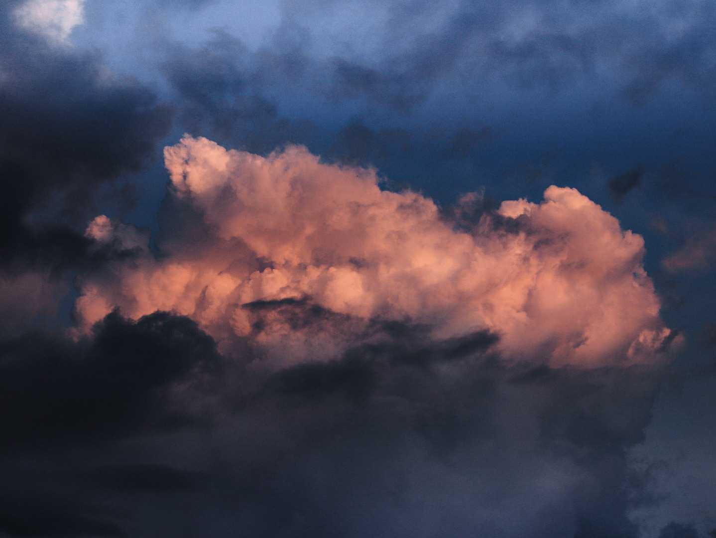 Wonder in Skies 