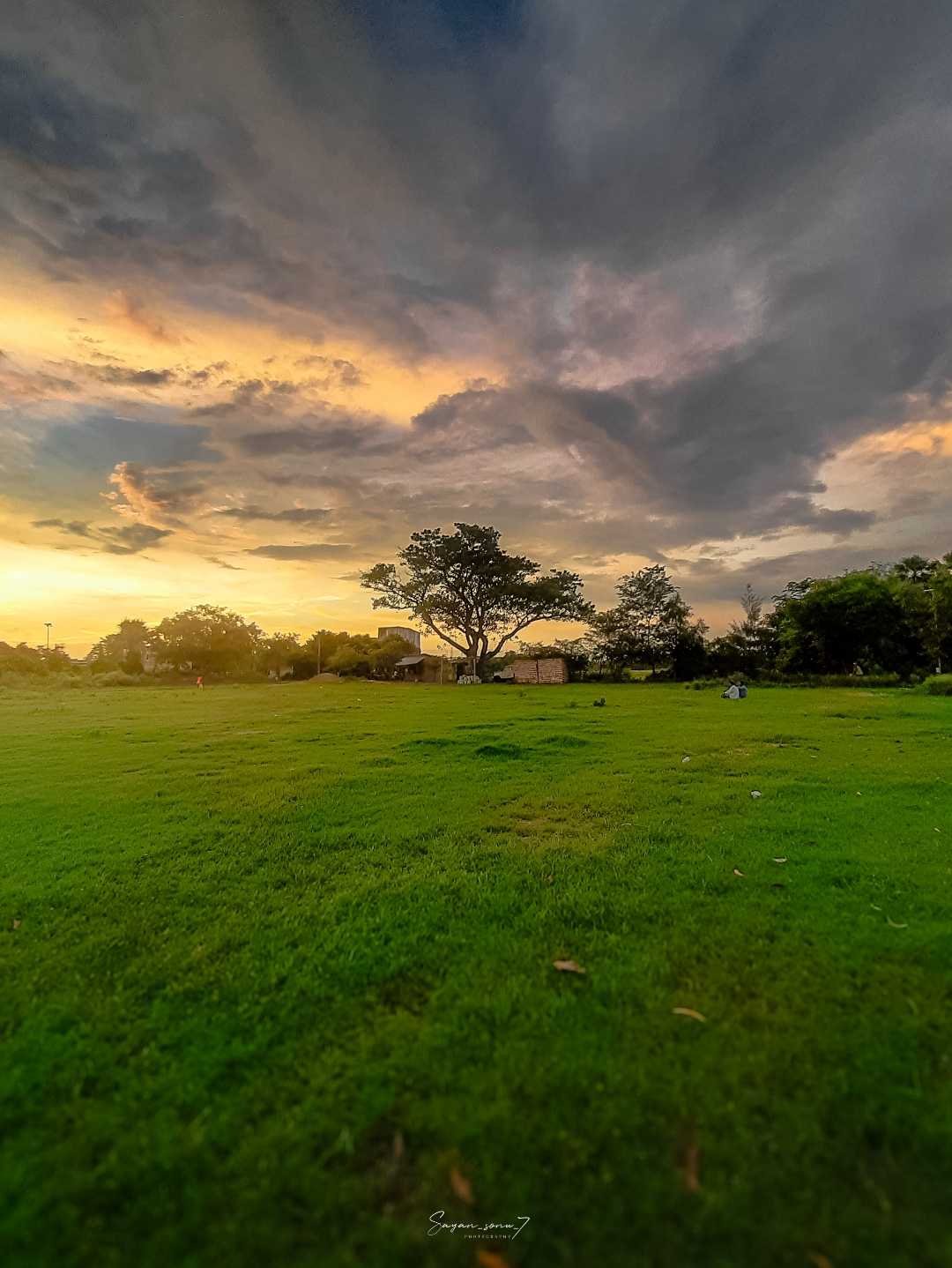 Landscape