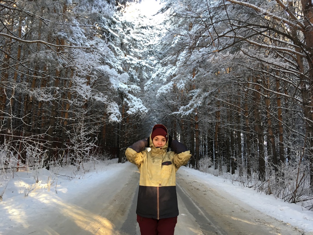 beautiful road in the forest