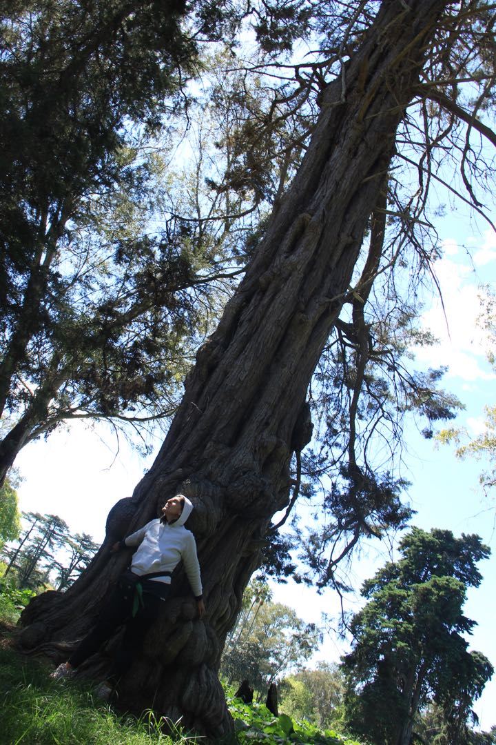 📍Parque Pereyra Iraola 