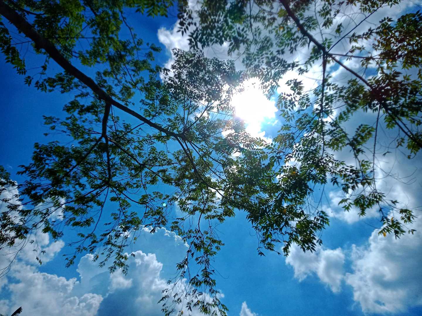 A sunny day is a happy day at RTHS.