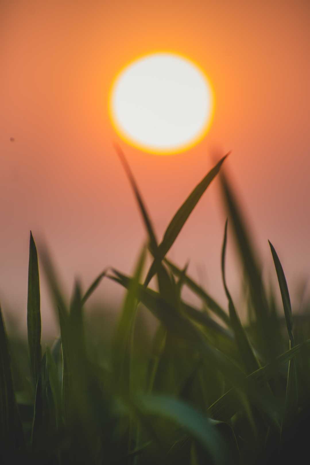 evening view 