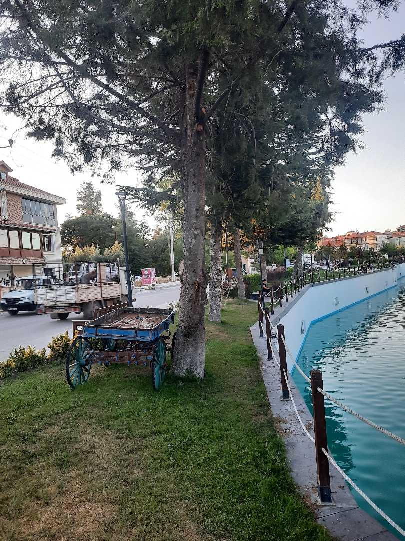 Çay boyu