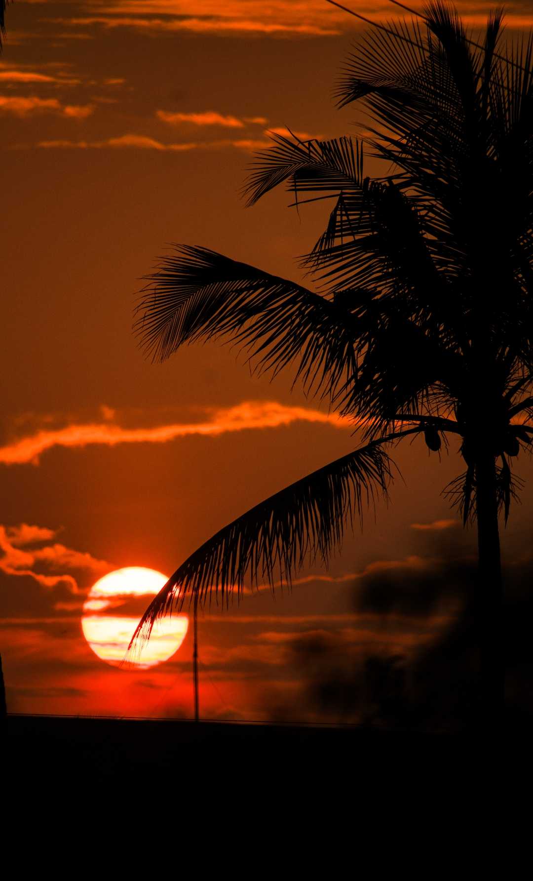 wallpaper