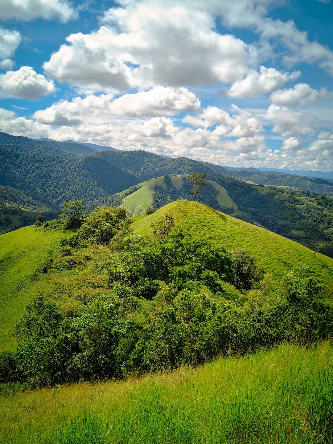 Bulumasomba