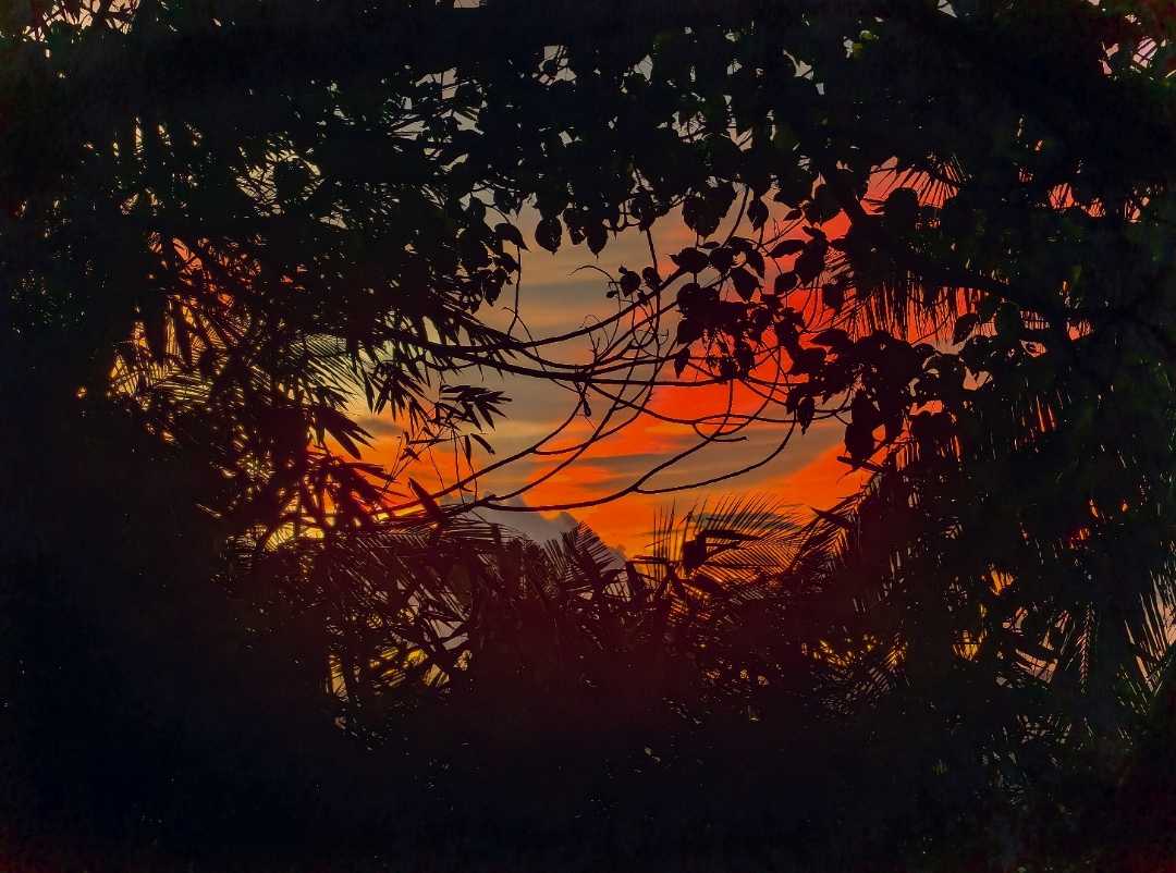 sunrise