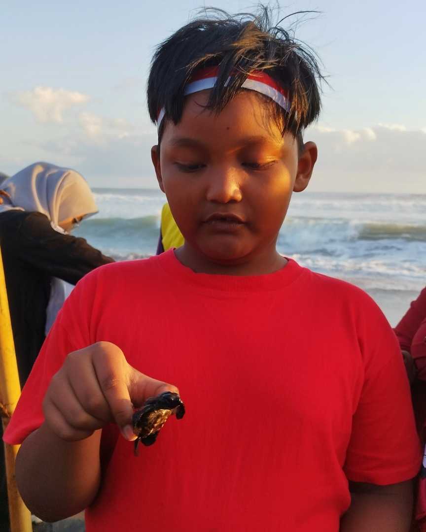 Pelepasan Tukik