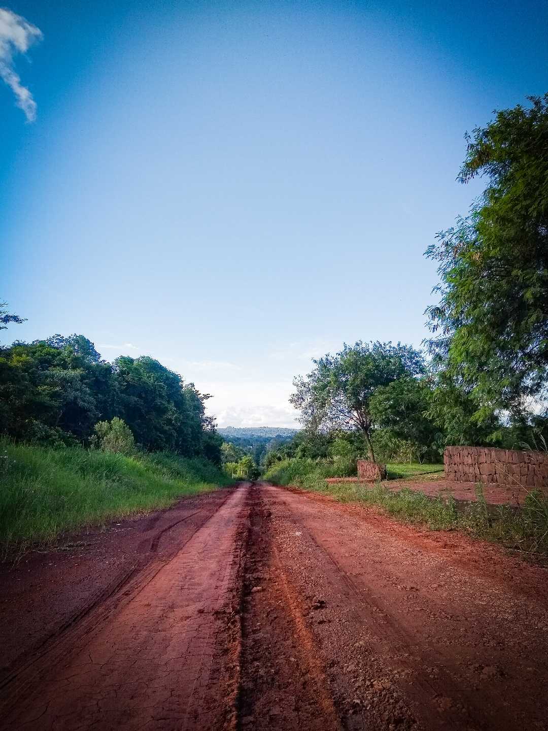 Armonía linda ✨✨