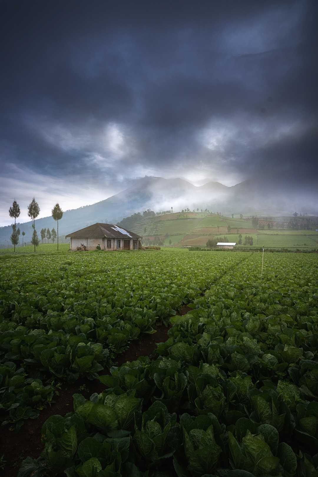 Puncak Brakseng - Batu