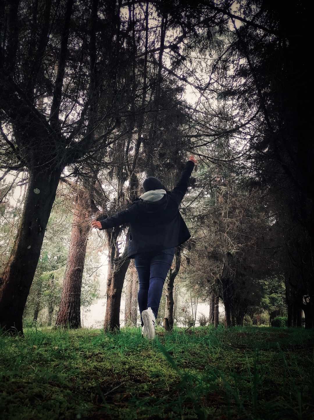 Pedacito de bosque