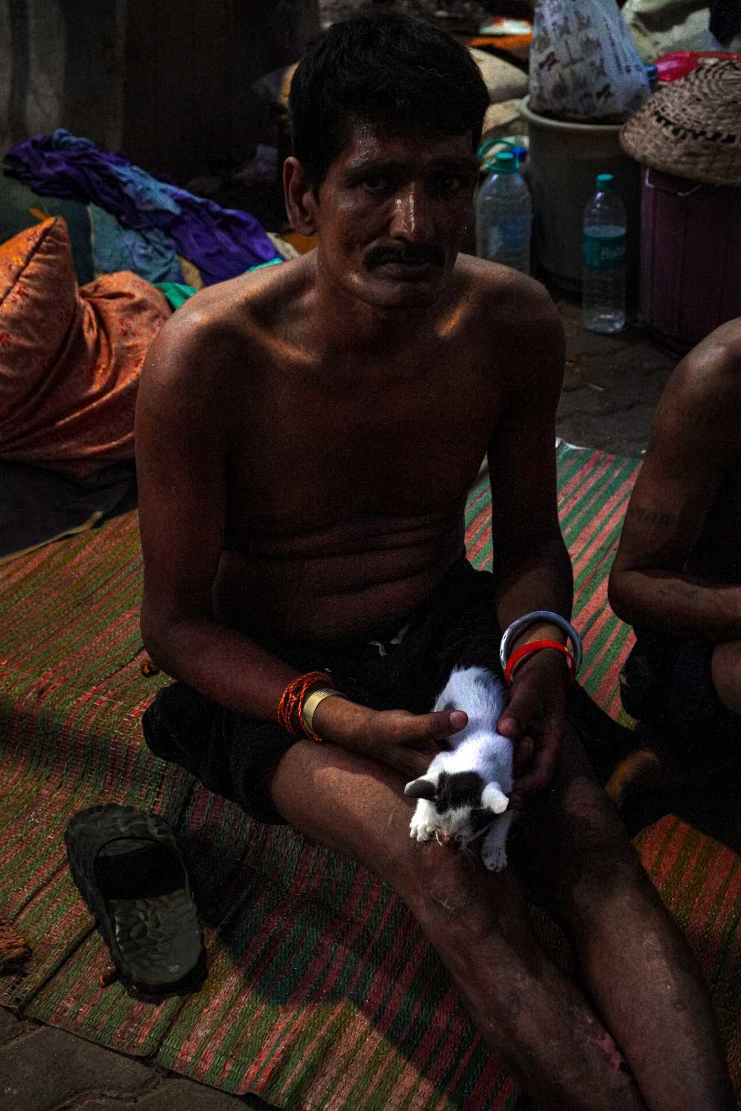 Healing the kitten 🐾
