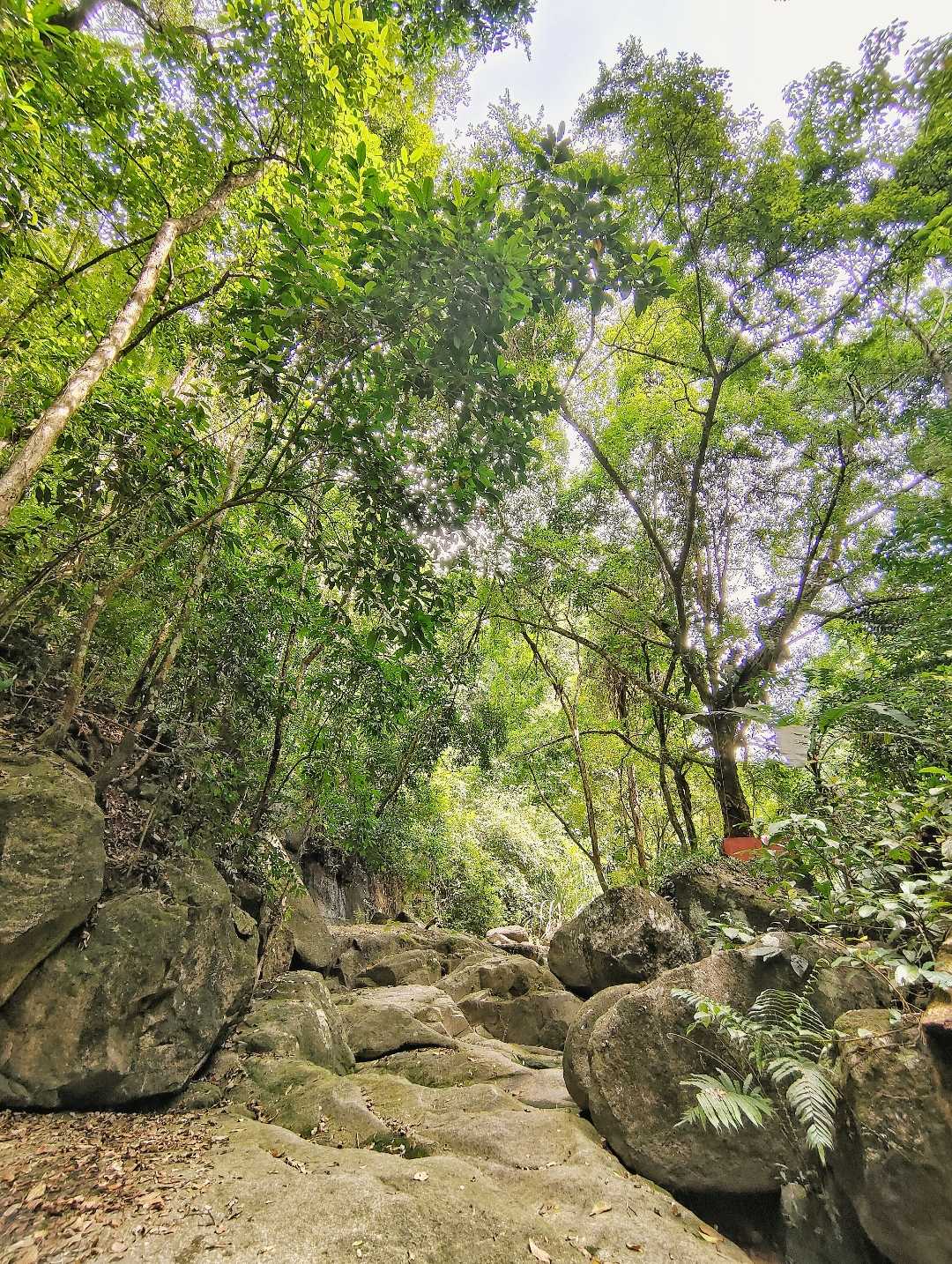 Sound Of Nature