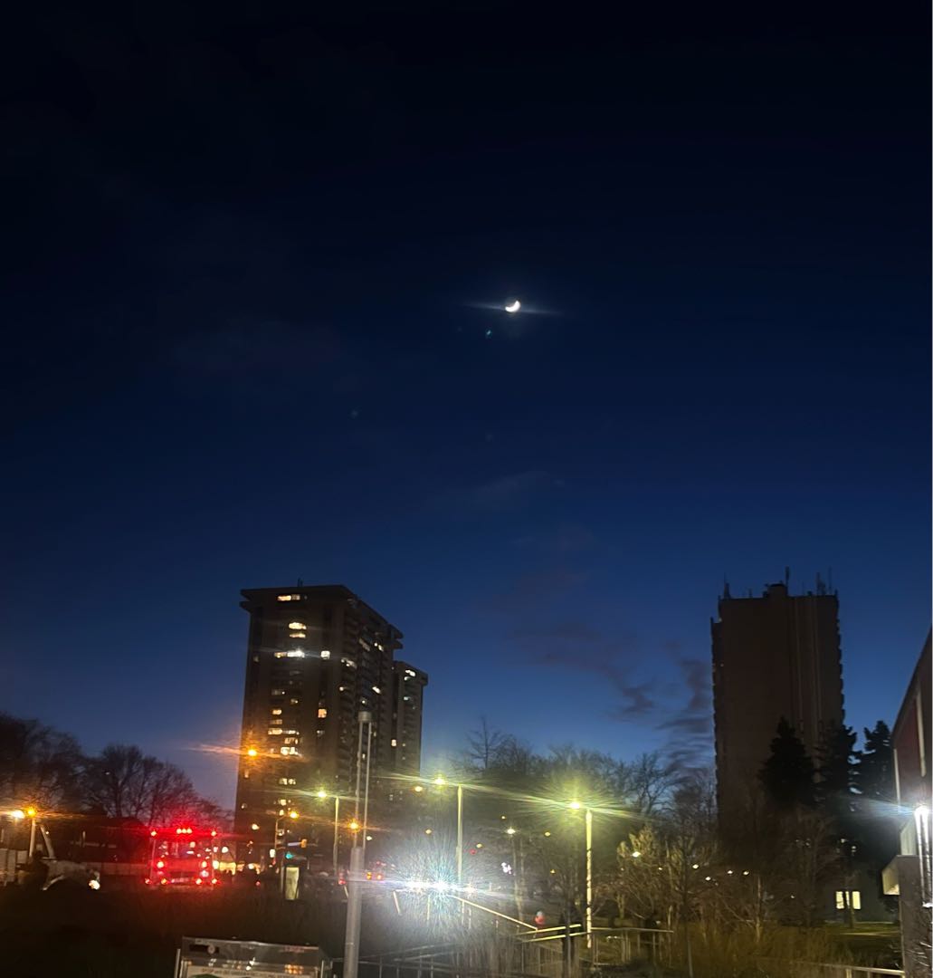 Admiring the view ❤️