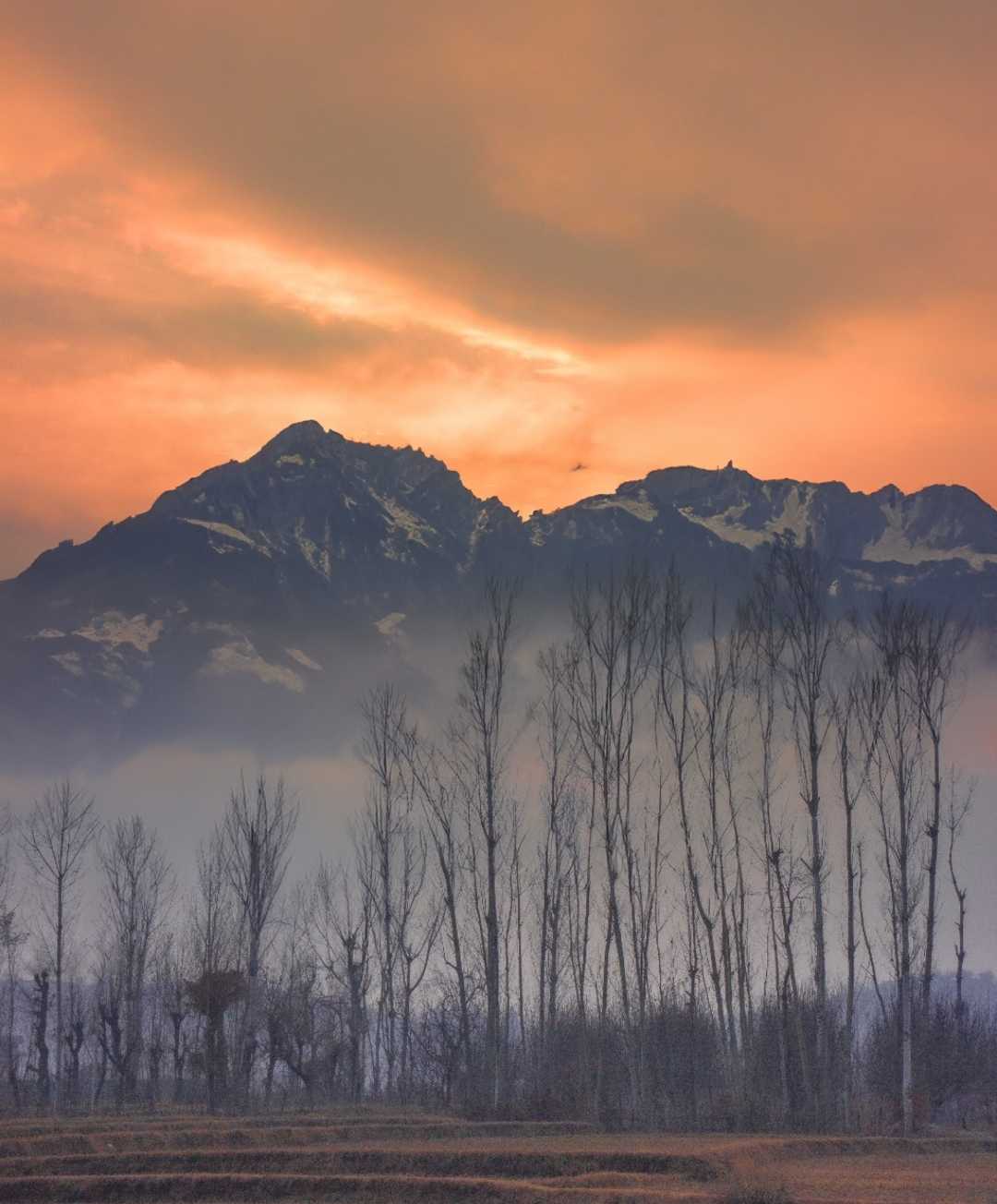 kashmir 