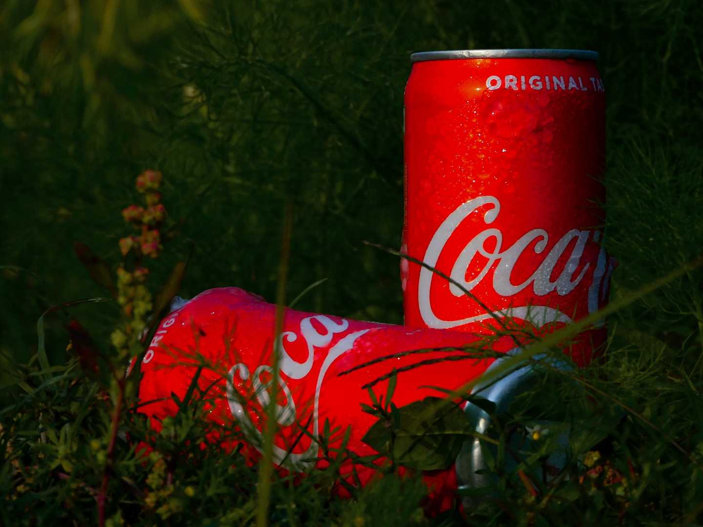 chilled Coke 