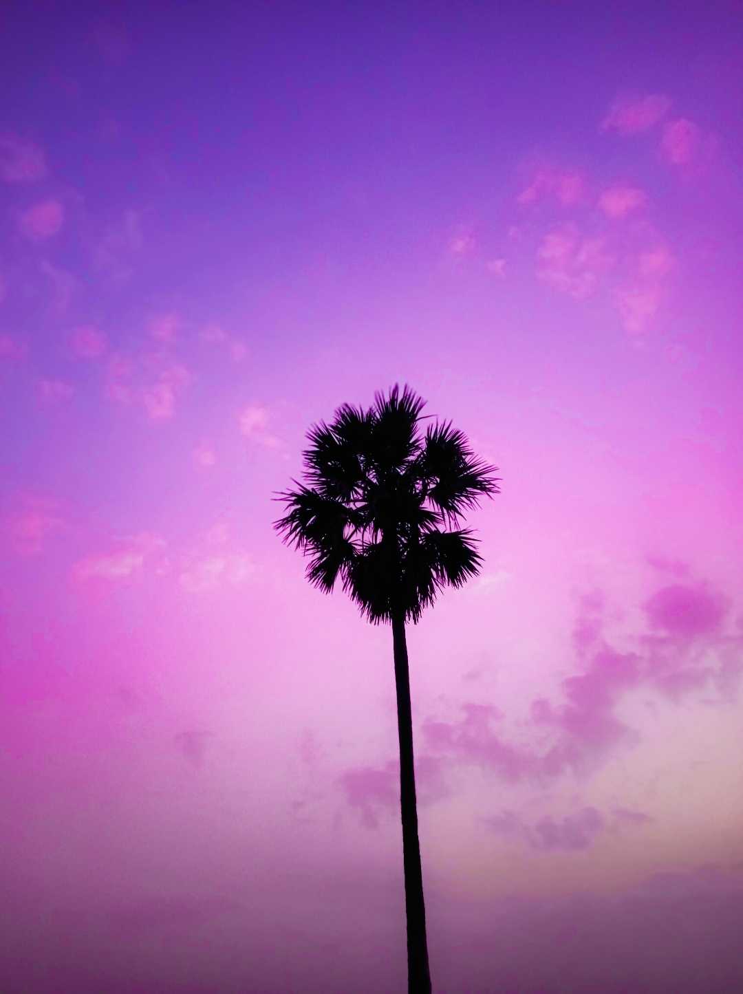 💓💓