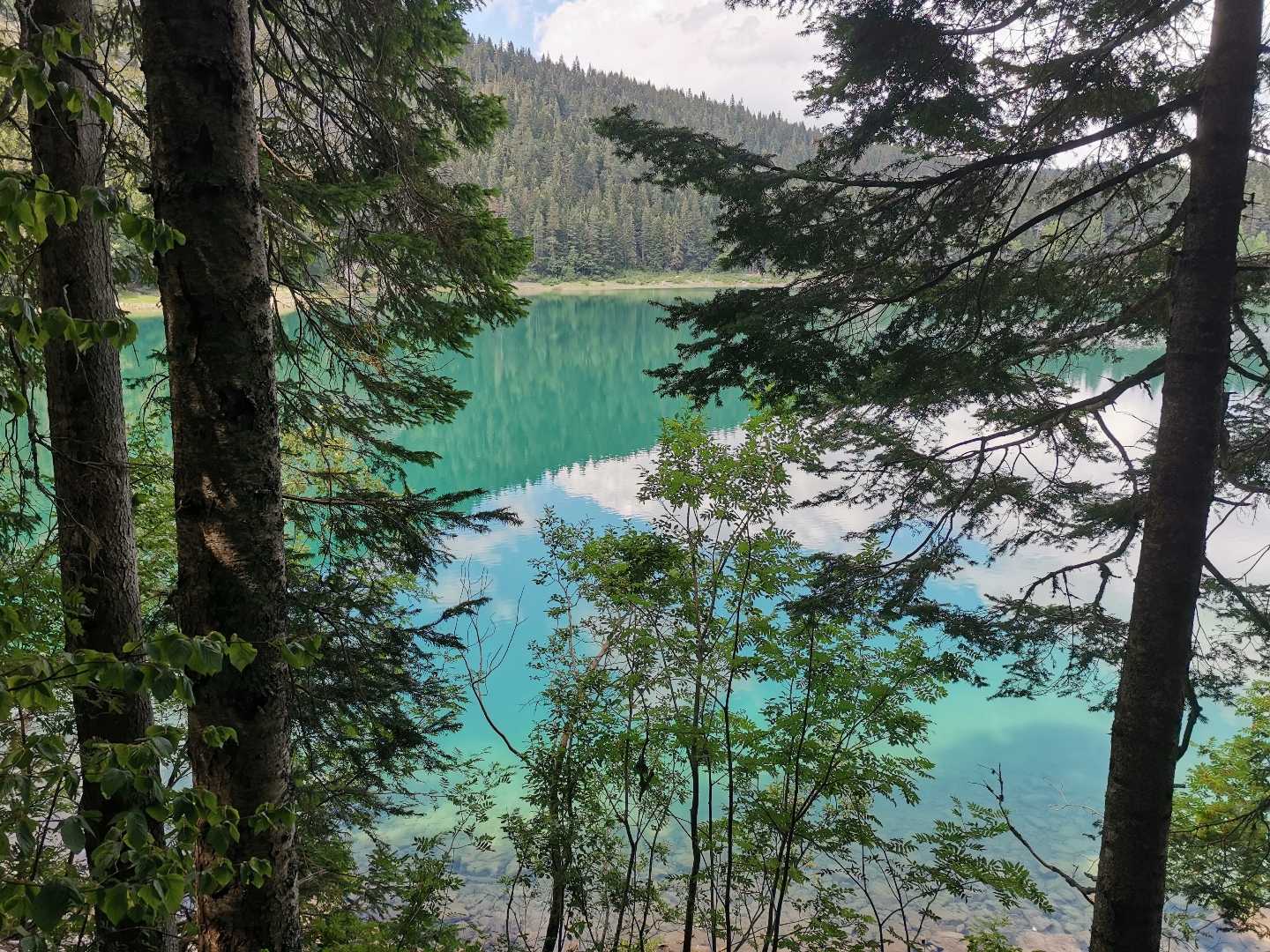 Black Lake, Durmitor, Montenegro 