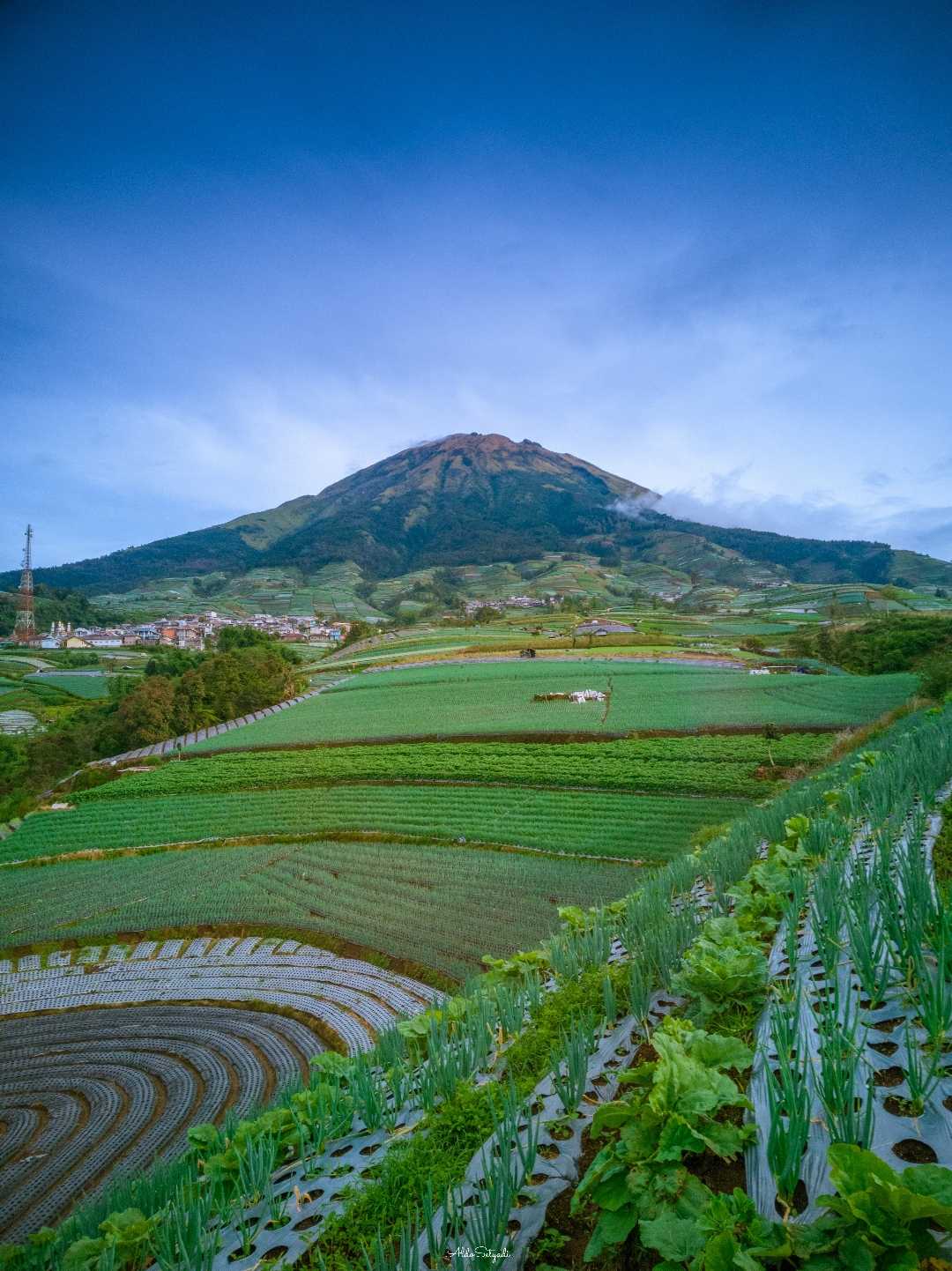 daylgiht gunung sumbing