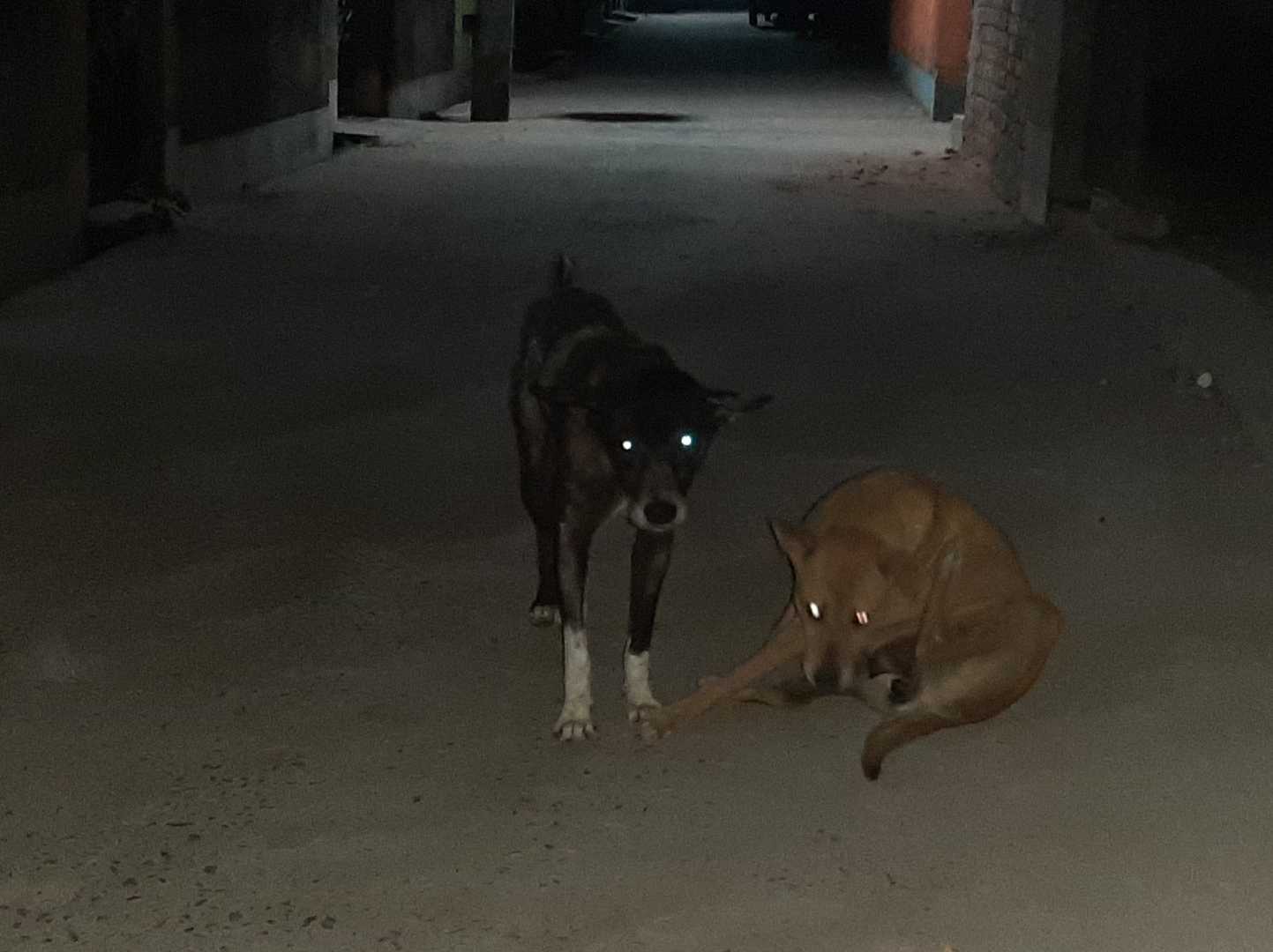 Spooky 