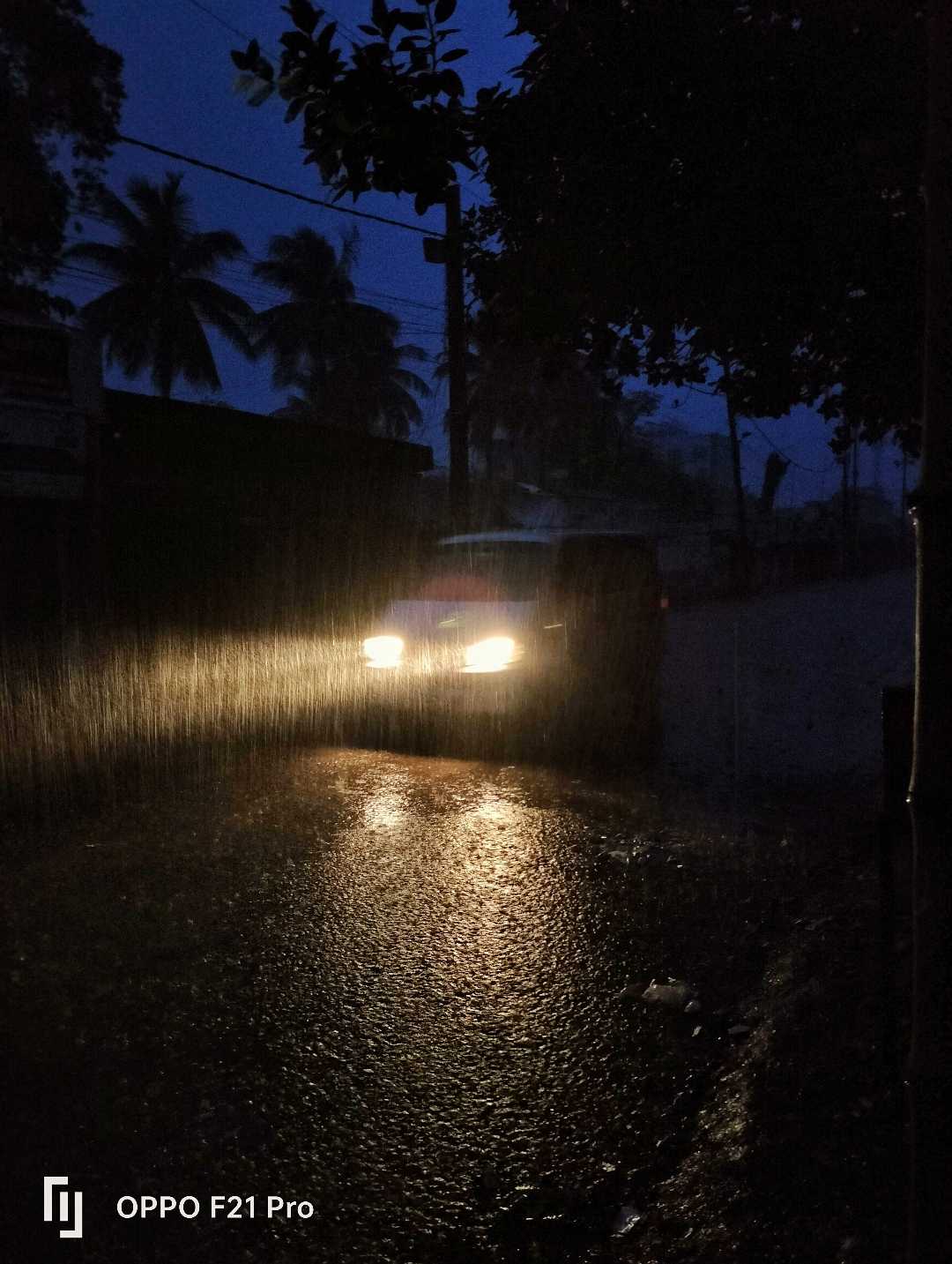 Early Rain ☔