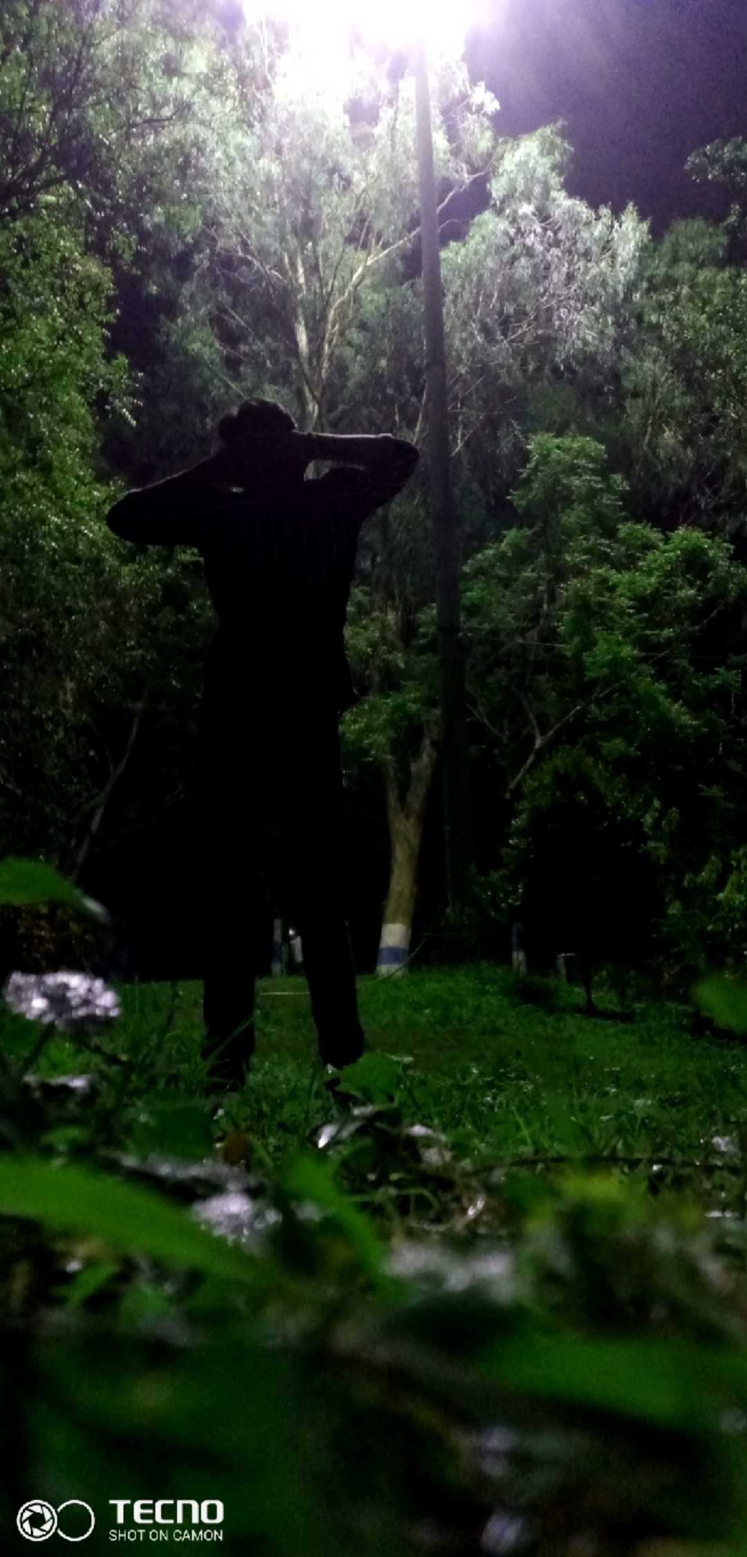 only life with nature