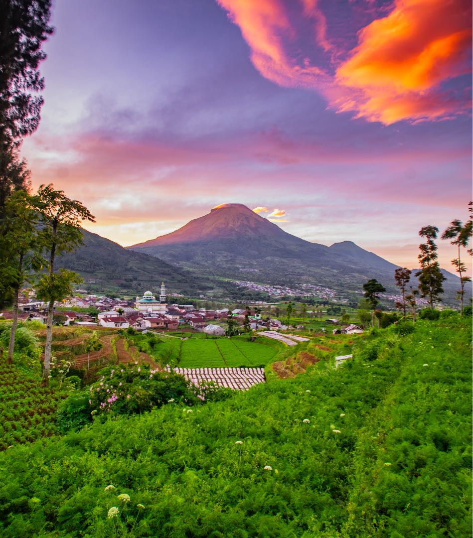 SUNRISE SINDORO