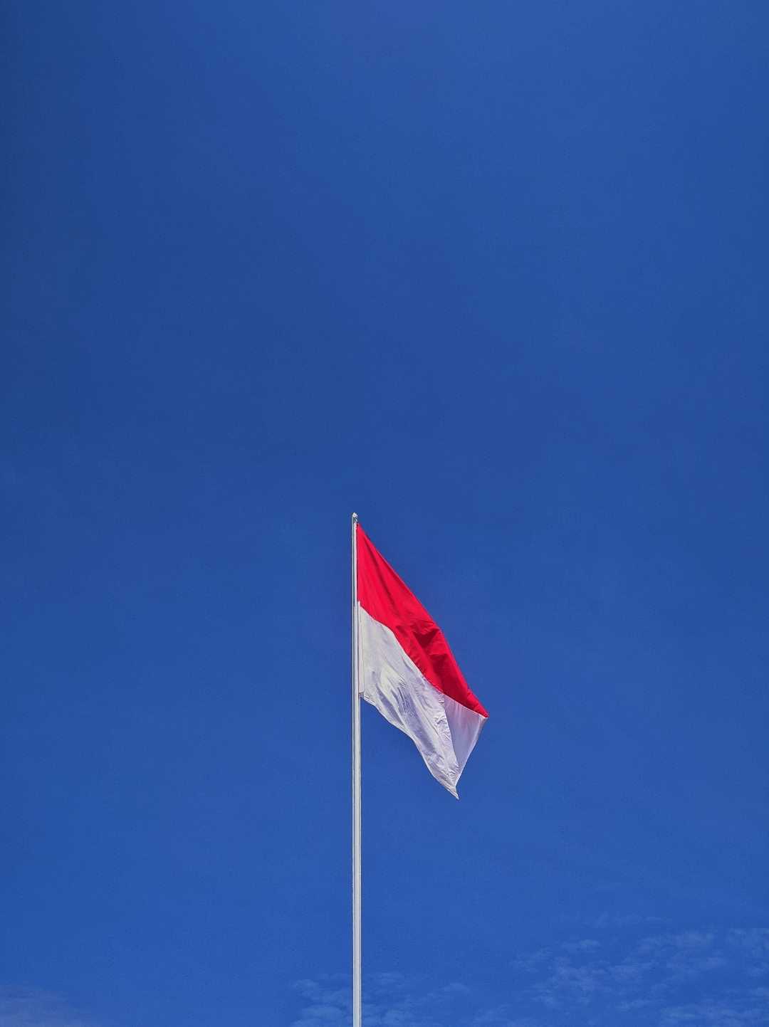Terus melaju untuk Indonesia Maju bersama Pindle Indonesia