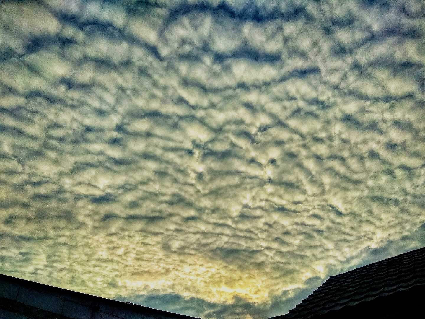 Clouds in the Morning