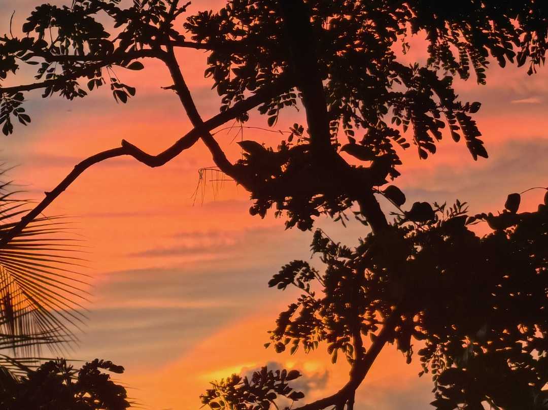 Sunrise