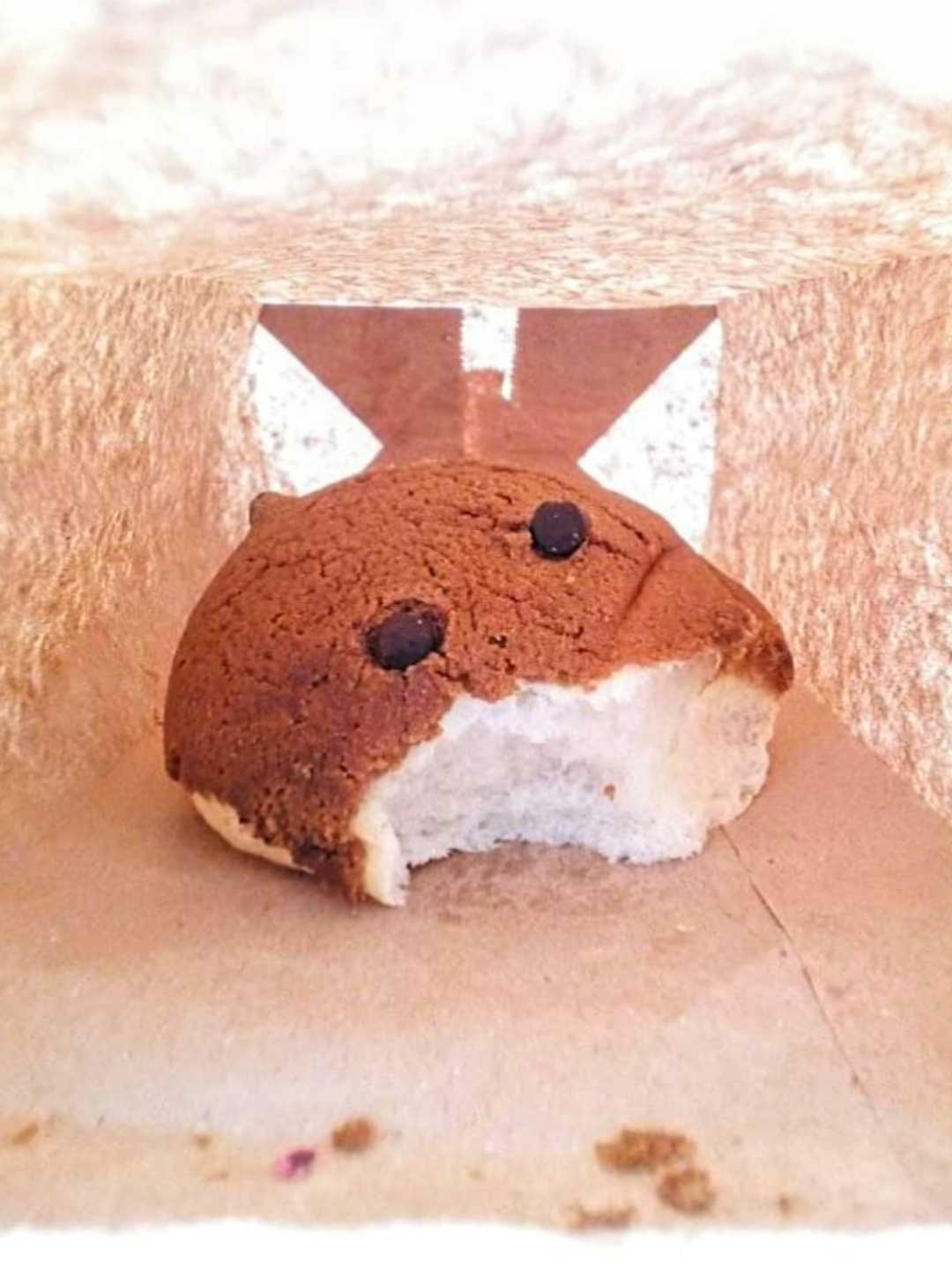 FC Chocolate Bread