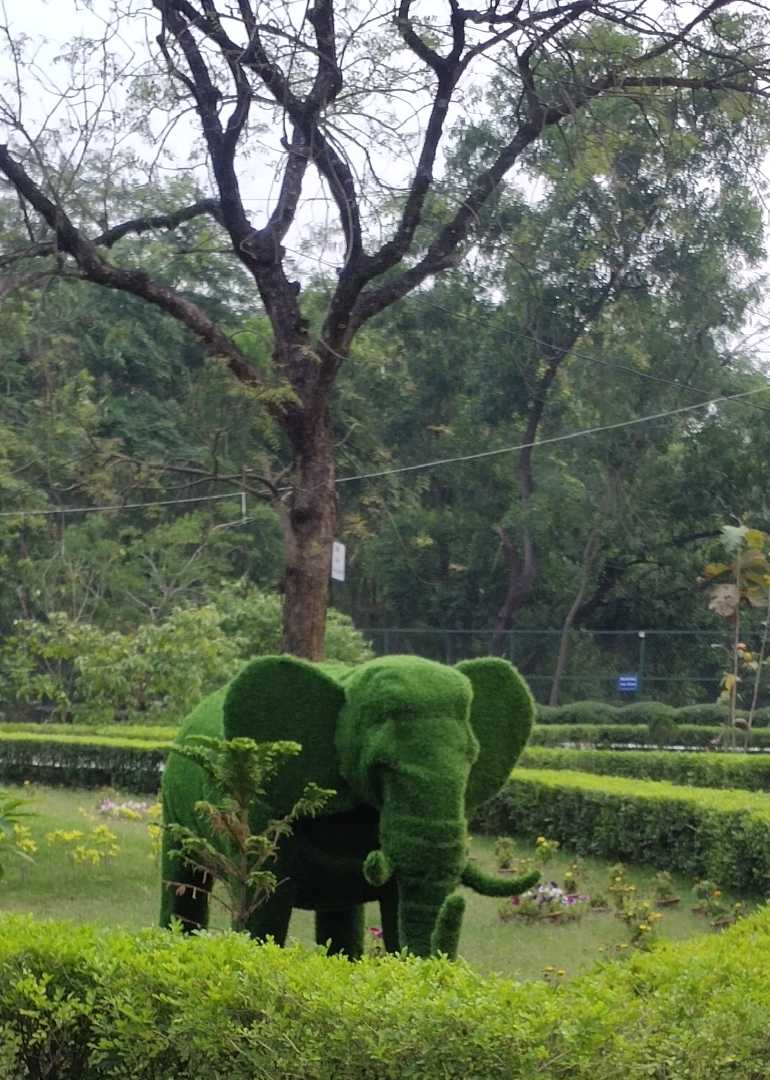 The elephant