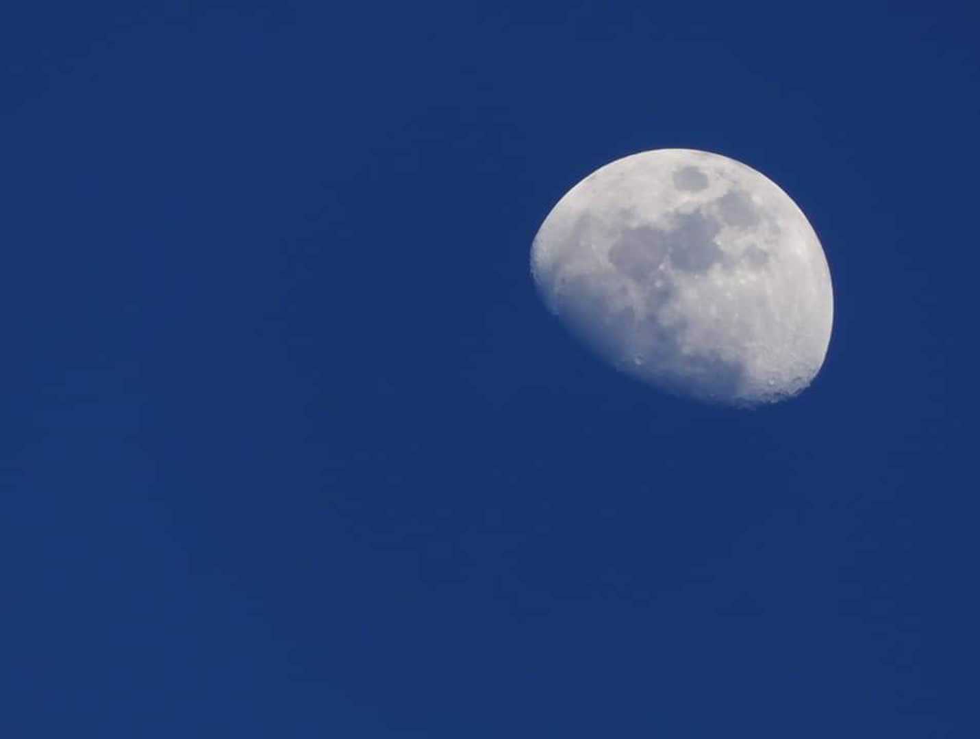 Bulan Sore